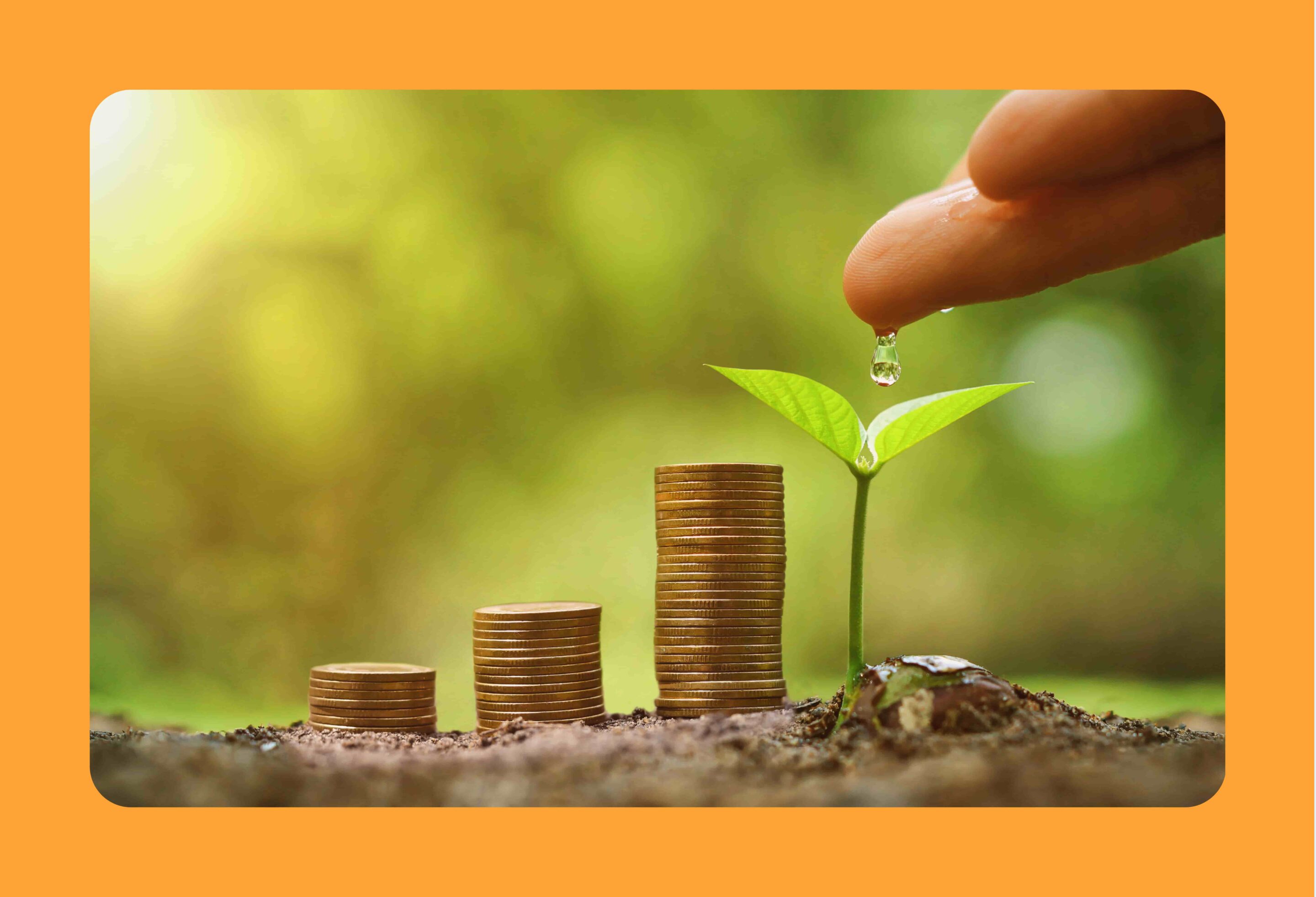 main qui fait tomber une goutte d'eau sur une petite qui est dans la terre à côté de trois tas de pièces de monnaie