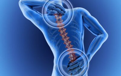 TMS définition : tout comprendre sur les troubles musculo-squelettiques